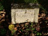 image of grave number 693042